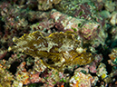 %_tempFileName2015-03-22_03_Namena_Marine_Reserve_Arch_to_Kansas-3220036%