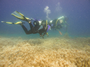 %_tempFileName2015-03-22_03_Namena_Marine_Reserve_Arch_to_Kansas-3220047%