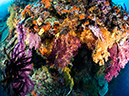 %_tempFileName2015-03-27_02_Vatu-I-Ra_Mt_Mutiny-3270852%
