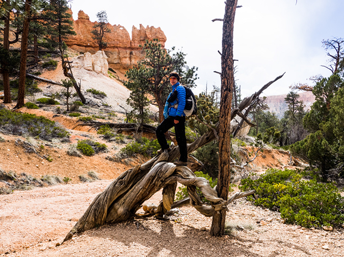 %_tempFileName2015-04-15_01_Queens_Garden_Trail_Navajo_Trail-4150587%