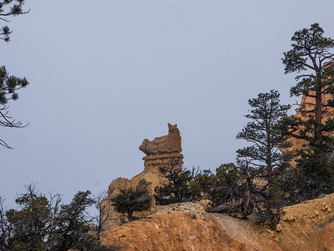 %_tempFileName2015-04-16_01_Fairyland_Loop-4160629%