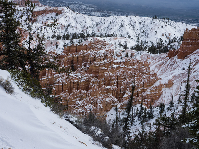 %_tempFileName2015-04-17_01_Peekaboo_Loop-4170653%