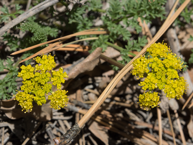 %_tempFileName2015-04-18_01_Riggs_Loop-4180699%