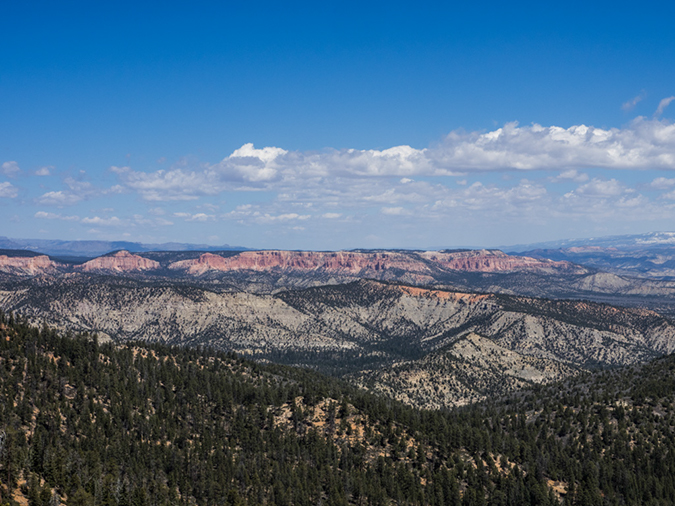 %_tempFileName2015-04-18_01_Riggs_Loop-4180722%