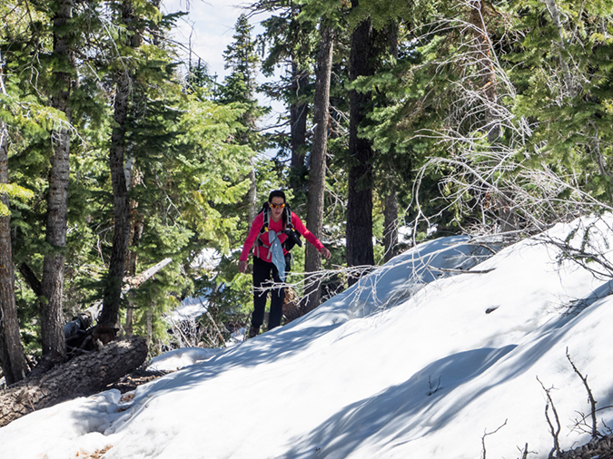 %_tempFileName2015-04-18_01_Riggs_Loop-4180724%