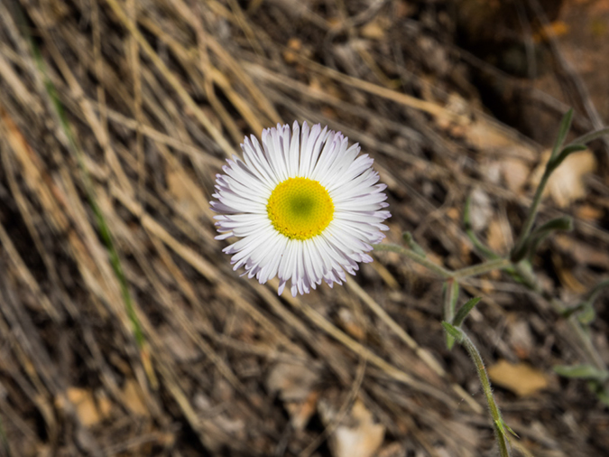 %_tempFileName2015-04-20_02_Emerald_Pools-4200929%