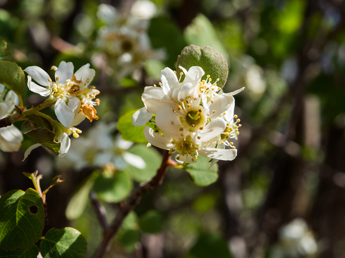 %_tempFileName2015-04-21_01_Observation_Point-4211039%