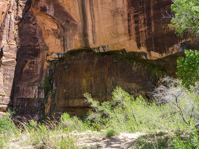 %_tempFileName2015-04-21_01_Observation_Point-4211061%