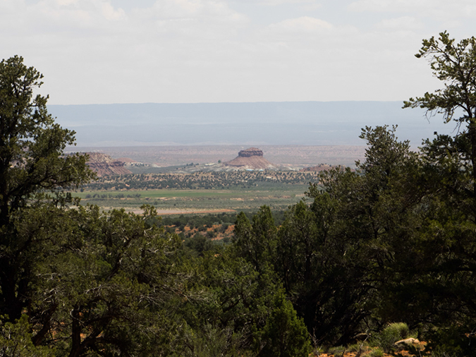 %_tempFileName2015-04-23_03_Kanab_Cottonwood_Trail-4231239%