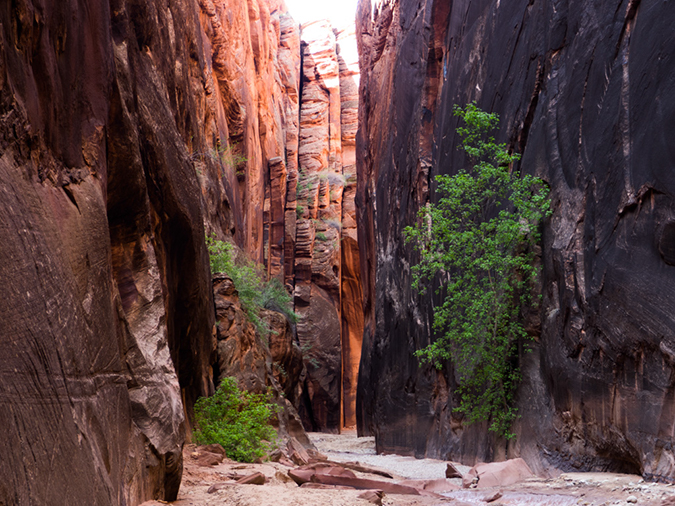 %_tempFileName2015-04-24_01_Buckskin_Gulch-4241293%