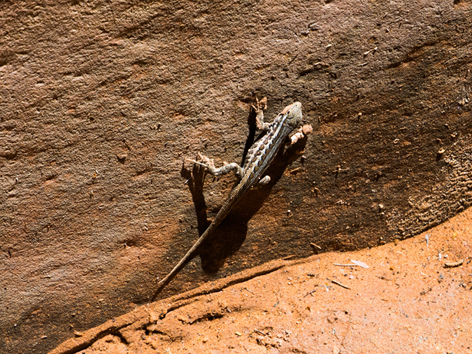 %_tempFileName2015-04-24_01_Buckskin_Gulch-4241309%