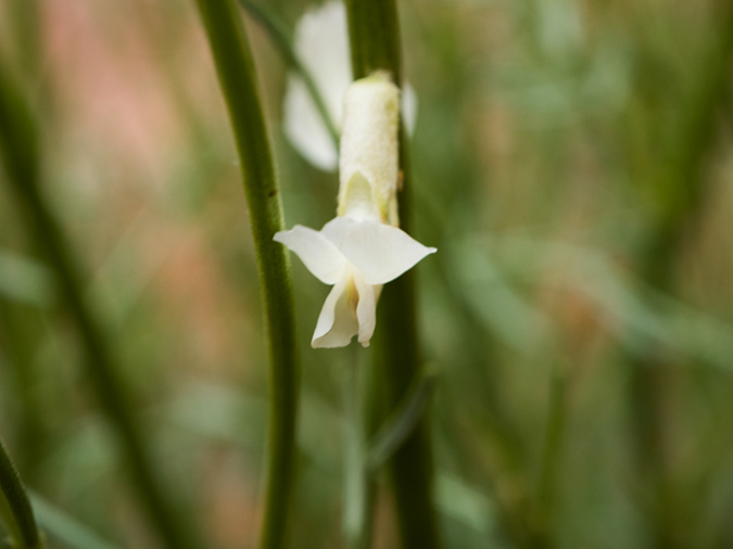 %_tempFileName2015-04-25_01_Starlight_Arch_Hike-4251323%