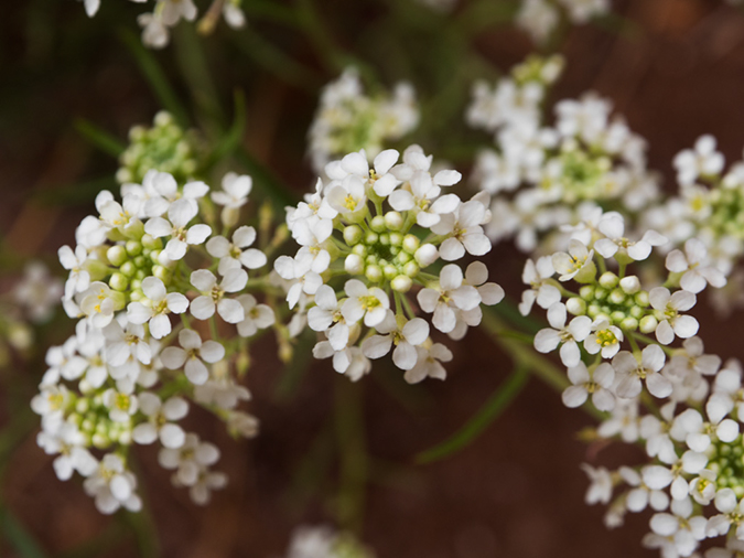 %_tempFileName2015-04-25_01_Starlight_Arch_Hike-4251331%