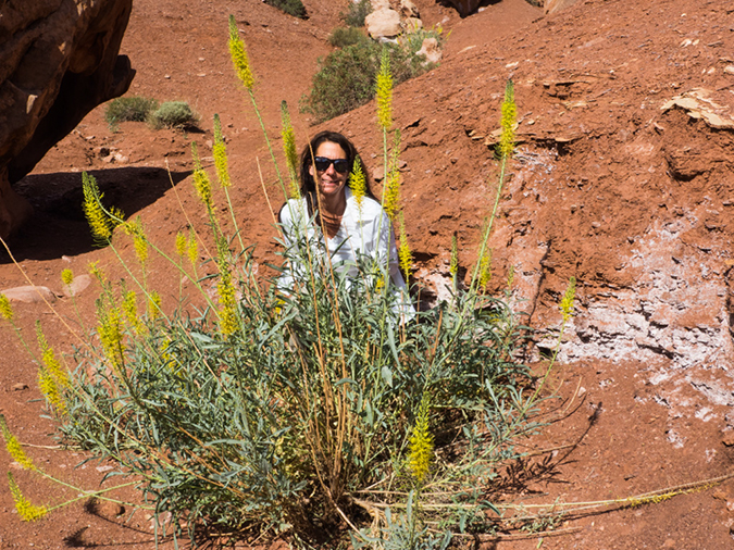 %_tempFileName2015-04-26_01_Kanab_to_Scottsdale-4261337%