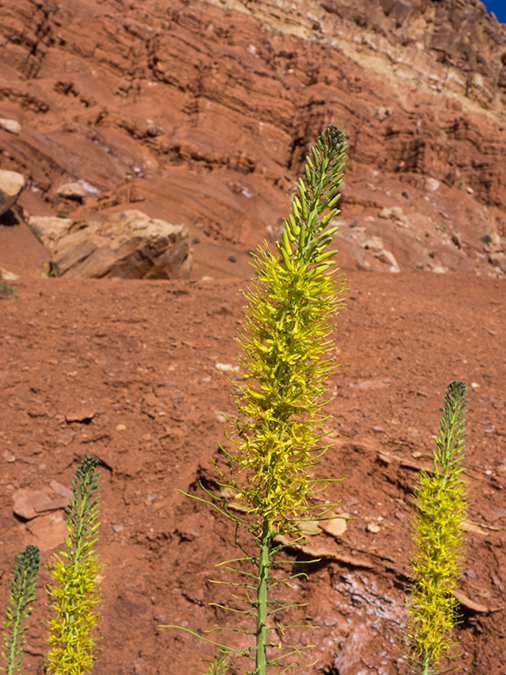 %_tempFileName2015-04-26_01_Kanab_to_Scottsdale-4261339%