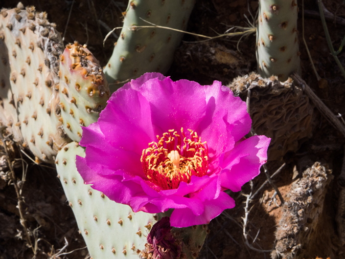 %_tempFileName2015-04-26_01_Kanab_to_Scottsdale-4261383%