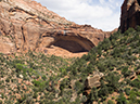 %_tempFileName2015-04-19_04_Zion_NP-4190828%