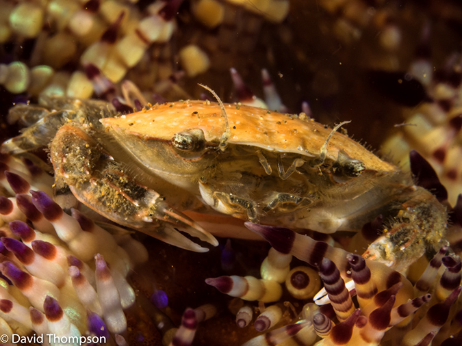 %_tempFileName2015-05-04_04_Secret_Bay-5040317%