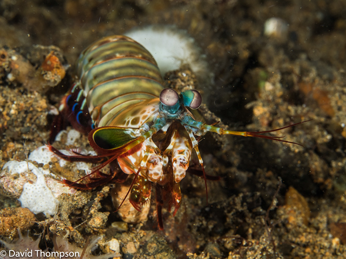 %_tempFileName2015-05-04_04_Secret_Bay-5040350%