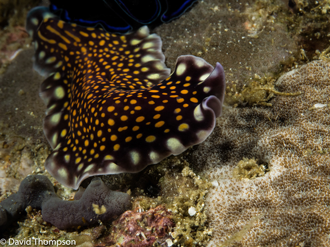 %_tempFileName2015-05-05_01_Darly_Laut-5050241%