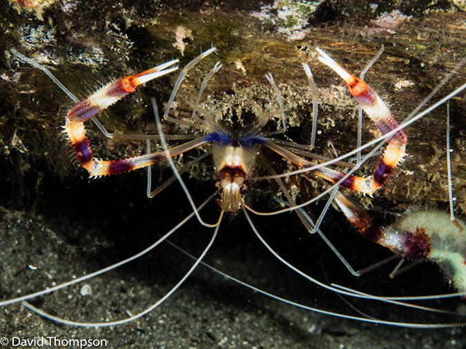 %_tempFileName2015-05-06_01_Coconut-5060402%