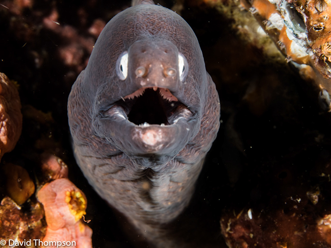 %_tempFileName2015-05-07_02_Masyut_Cove-5070729%