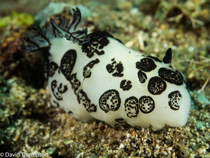 %_tempFileName2015-05-07_02_Masyut_Cove-5070829%
