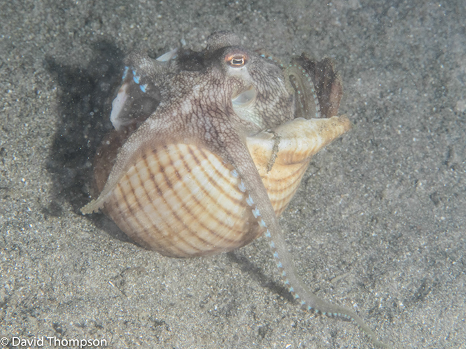 %_tempFileName2015-05-08_04_Pier-5080979%
