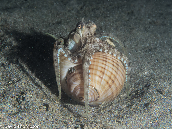%_tempFileName2015-05-08_04_Pier-5080982%