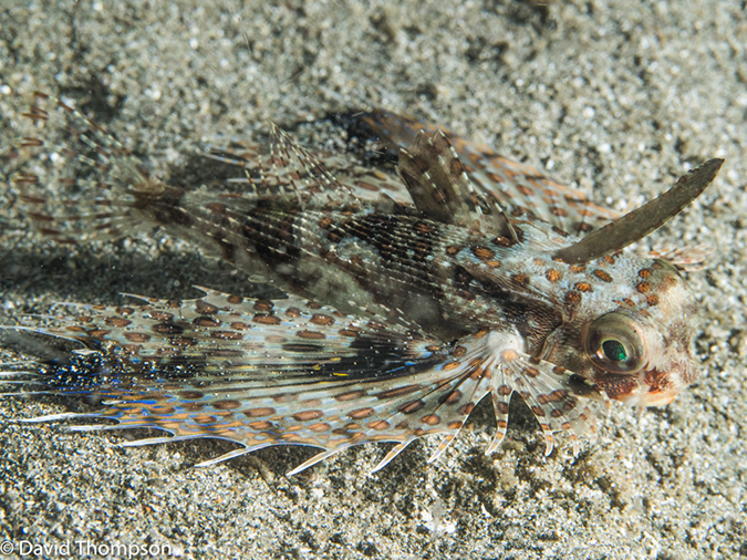 %_tempFileName2015-05-08_04_Pier-5080995%