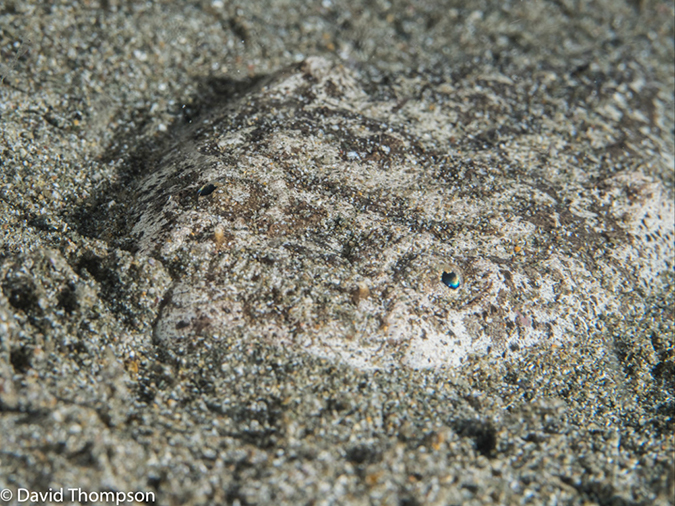 %_tempFileName2015-05-08_04_Pier-5081003%