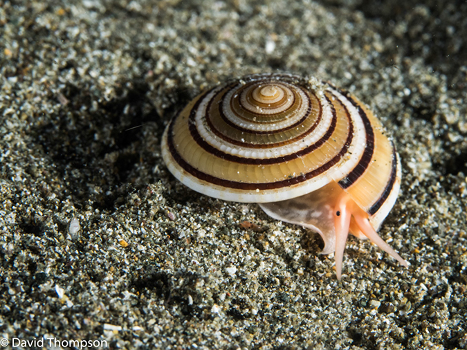 %_tempFileName2015-05-08_04_Pier-5081012%