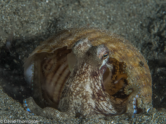 %_tempFileName2015-05-08_04_Pier-5081018%