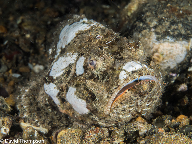 %_tempFileName2015-05-09_04_Secret_Bay-5091183%
