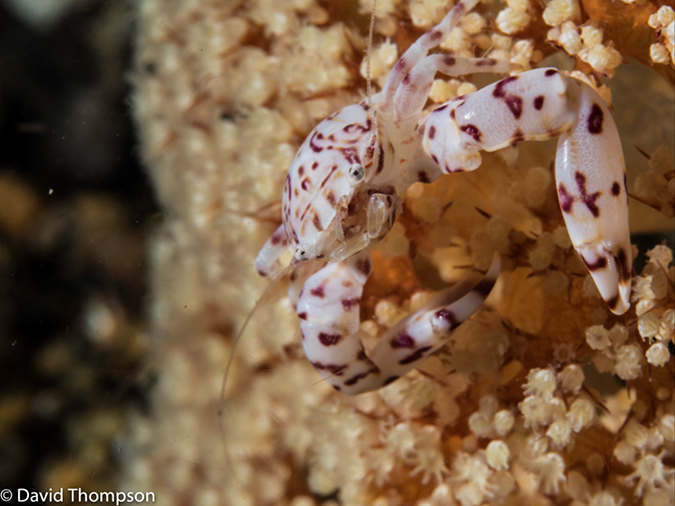 %_tempFileName2015-05-09_04_Secret_Bay-5091187%