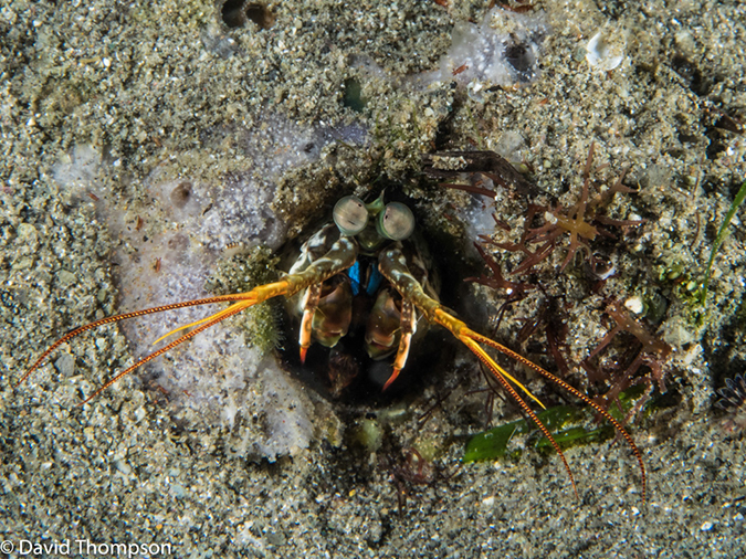 %_tempFileName2015-05-10_03_Cocnut-5101278%