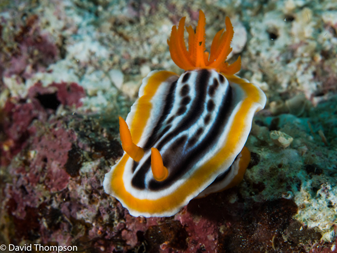 %_tempFileName2015-05-11_02_Cavan_Cove-5111512%