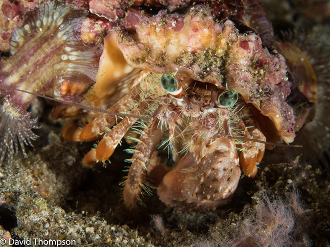 %_tempFileName2015-05-11_04_House_Reef-5111537%