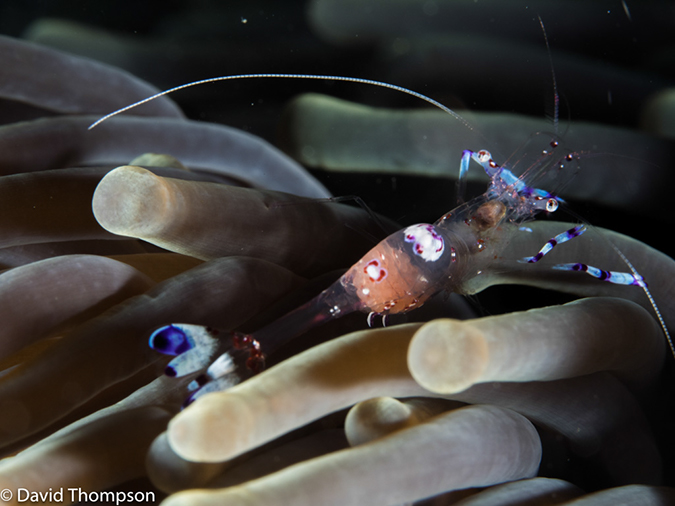 %_tempFileName2015-05-11_04_House_Reef-5111547%
