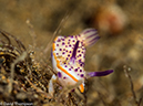 %_tempFileName2015-05-04_04_Secret_Bay-5040363%