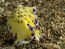 %_tempFileName2015-05-05_01_Darly_Laut-5050229%