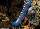 %_tempFileName2015-05-05_01_Darly_Laut-5050237%