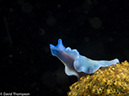 %_tempFileName2015-05-05_01_Darly_Laut-5050254%