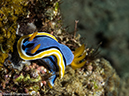 %_tempFileName2015-05-05_01_Darly_Laut-5050279%