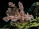 %_tempFileName2015-05-05_02_Minilog-5050295%