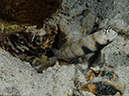 %_tempFileName2015-05-05_02_Minilog-5050312%
