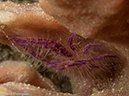 %_tempFileName2015-05-05_02_Minilog-5050326%