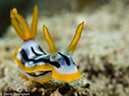 %_tempFileName2015-05-05_02_Minilog-5050344%