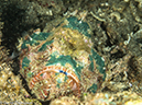 %_tempFileName2015-05-05_03_Bubbles-5050401%