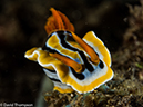 %_tempFileName2015-05-05_03_Bubbles-5050412%